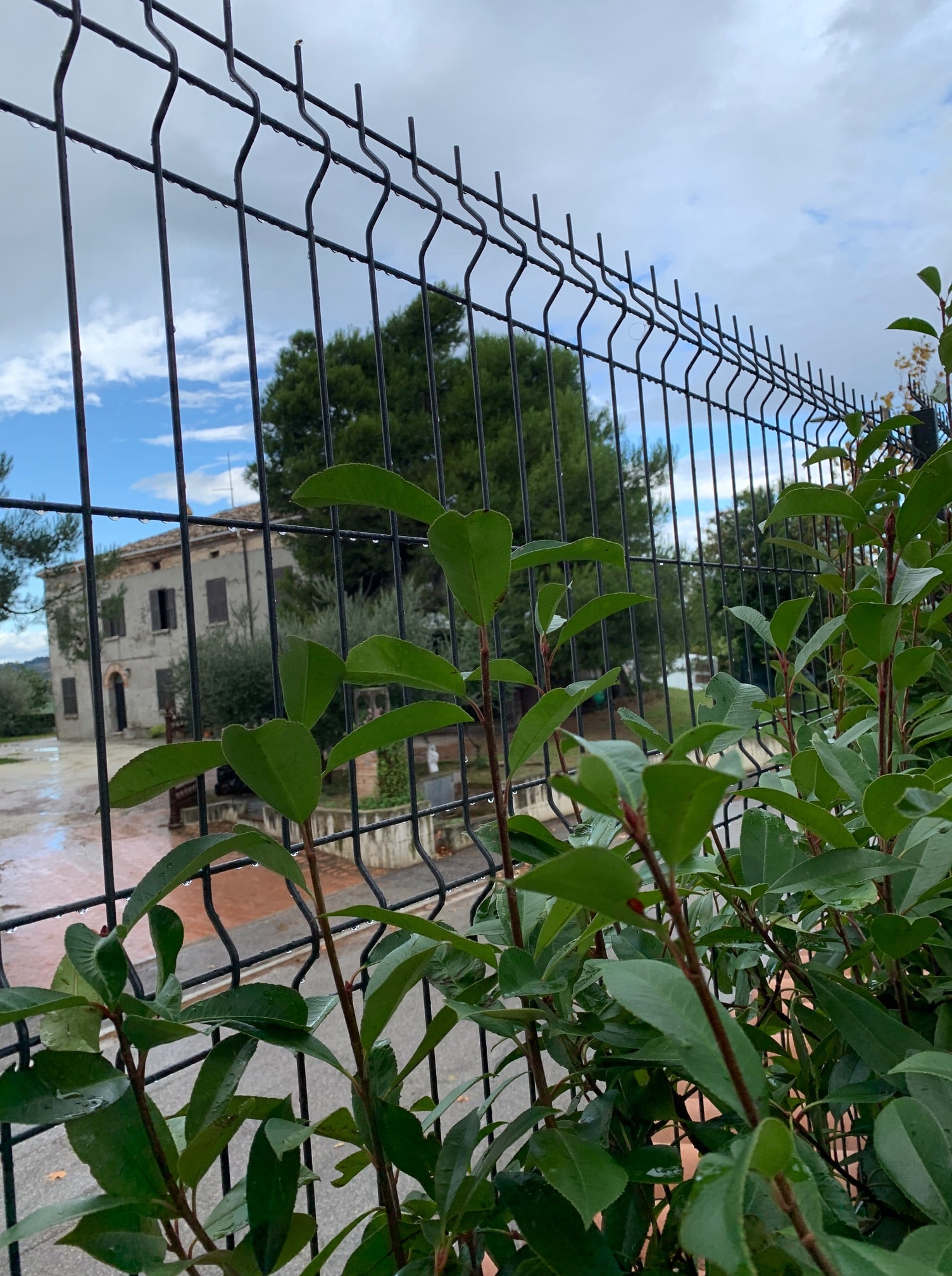 Recinzione in Filo modello Simplex a Rimini: Recinzioni by Edilgrid